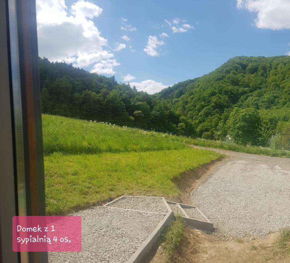 Ambasadorowka Villa Solina  Exteriör bild