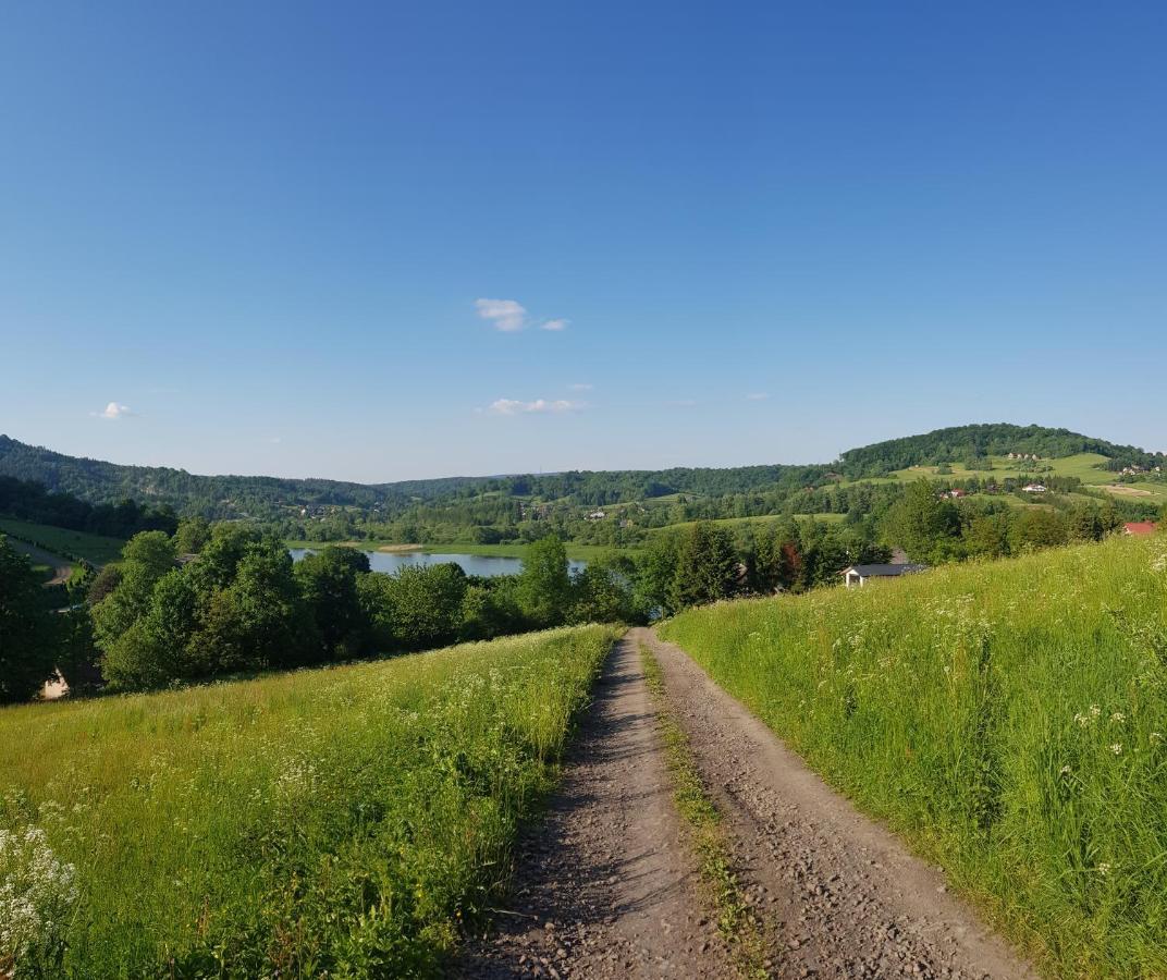 Ambasadorowka Villa Solina  Exteriör bild
