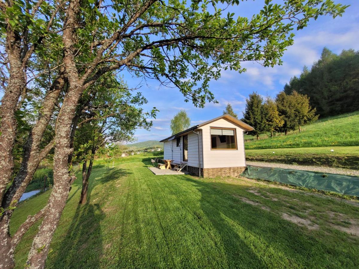 Ambasadorowka Villa Solina  Exteriör bild